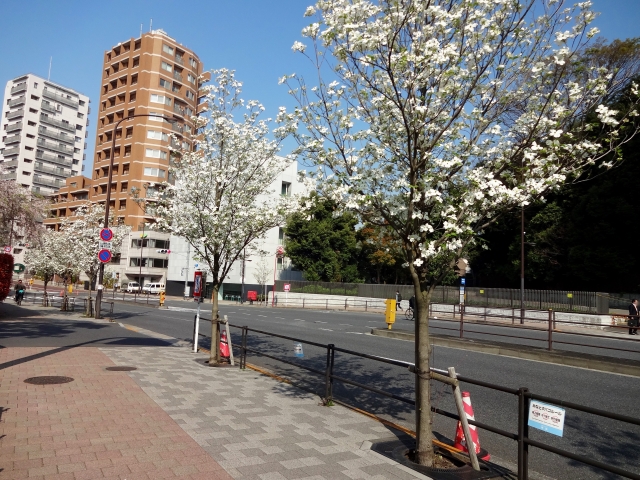 市区町村と施設