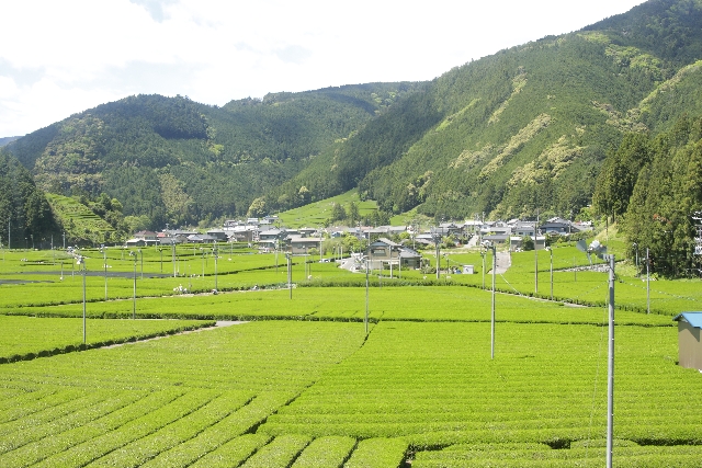 町域と種類